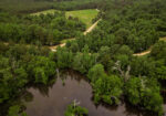 Hunting Land for sale Amite County