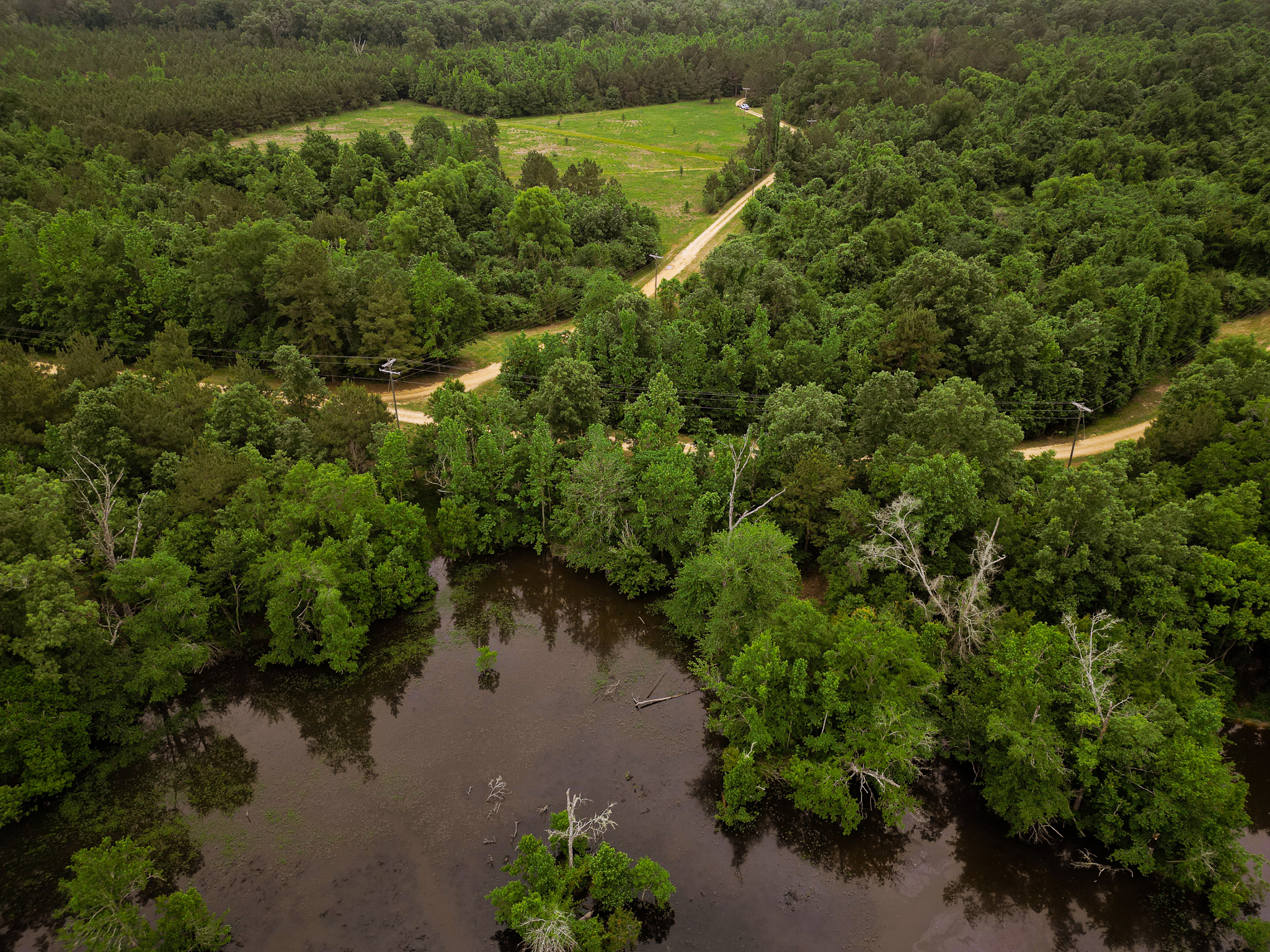 Hunting Land for sale Amite County