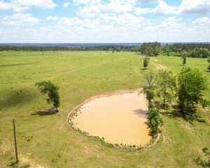 DJI_0539-Medium
