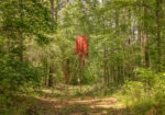 Hunting Land for sale in Amite County, MS