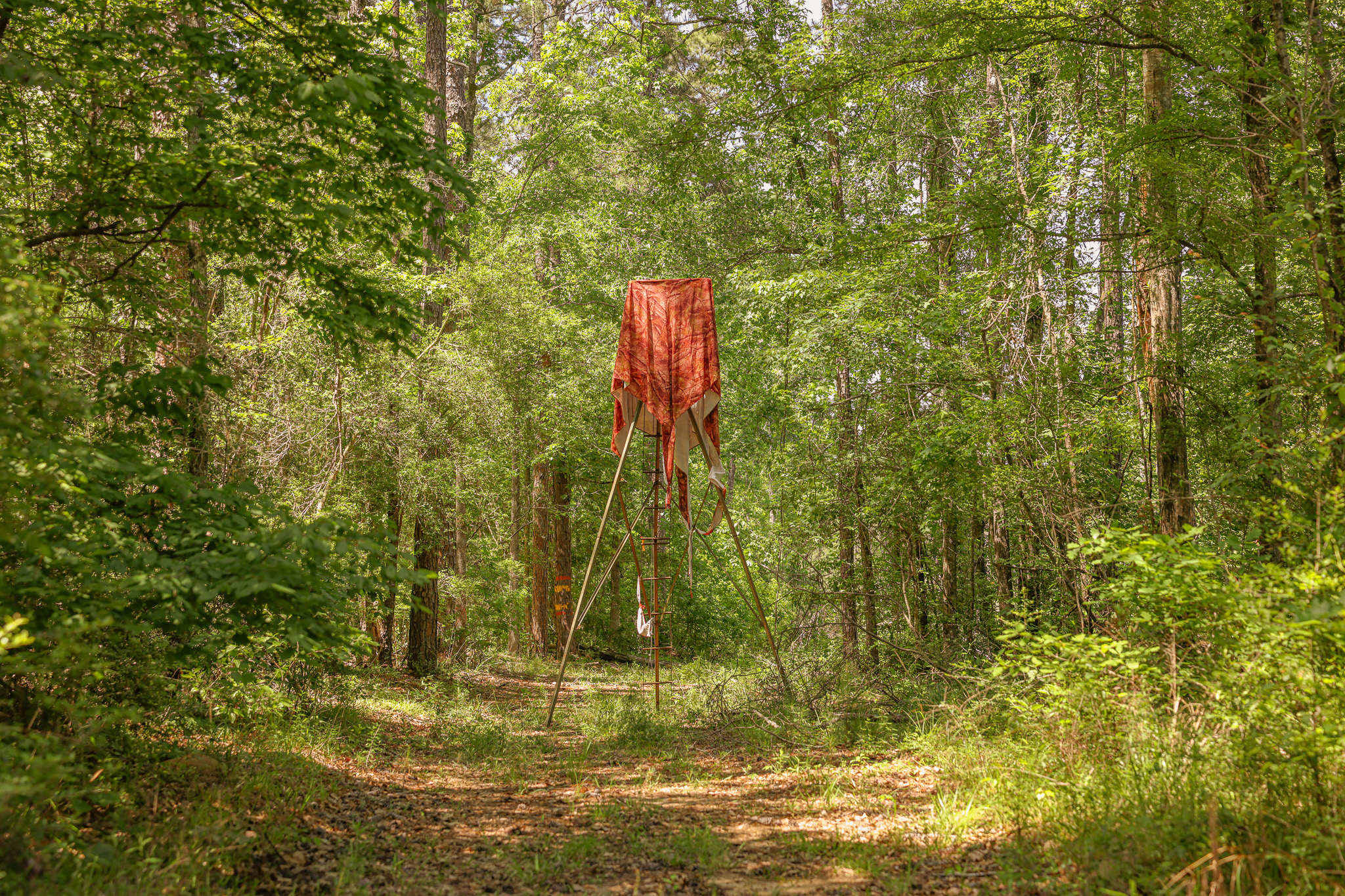 Hunting Land for sale in Amite County, MS