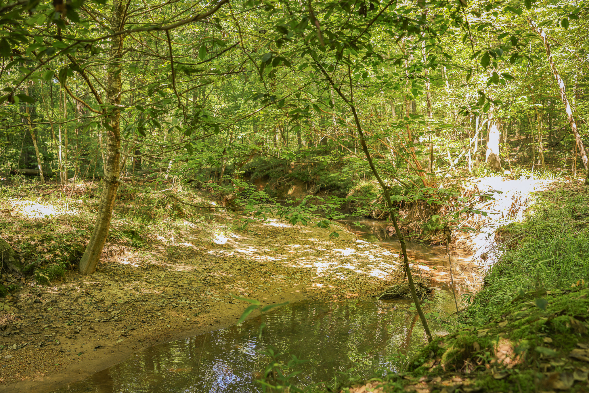 Hunting Land for sale in Amite County, MS