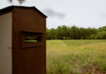 Hunting Land for sale Amite County