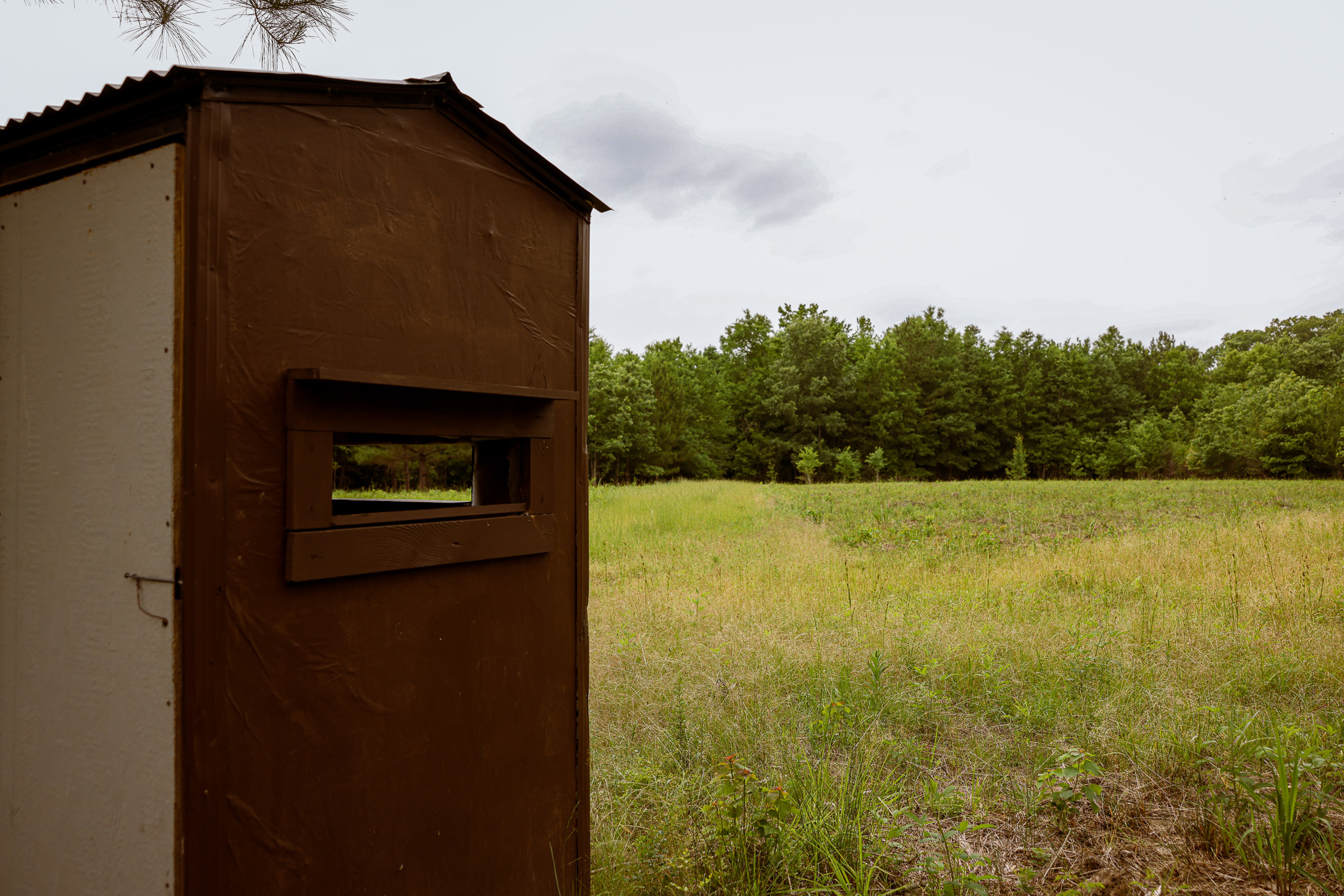 Hunting Land for sale Amite County