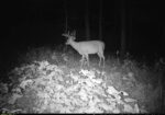 Hunting membership available for Natchez Ms