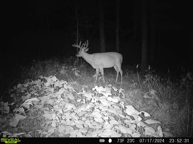 Hunting membership available for Natchez Ms
