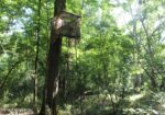 105 Acres Scenic Rivers Region Mississippi