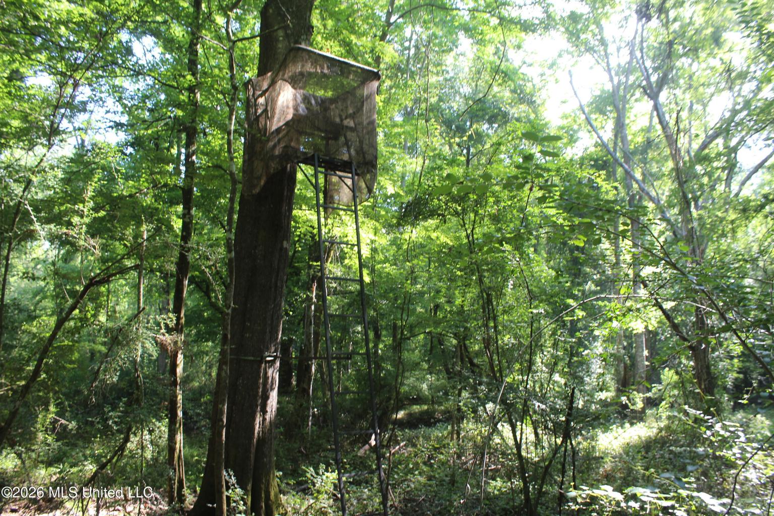 105 Acres Scenic Rivers Region Mississippi