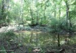 105 Acres Scenic Rivers Region Mississippi