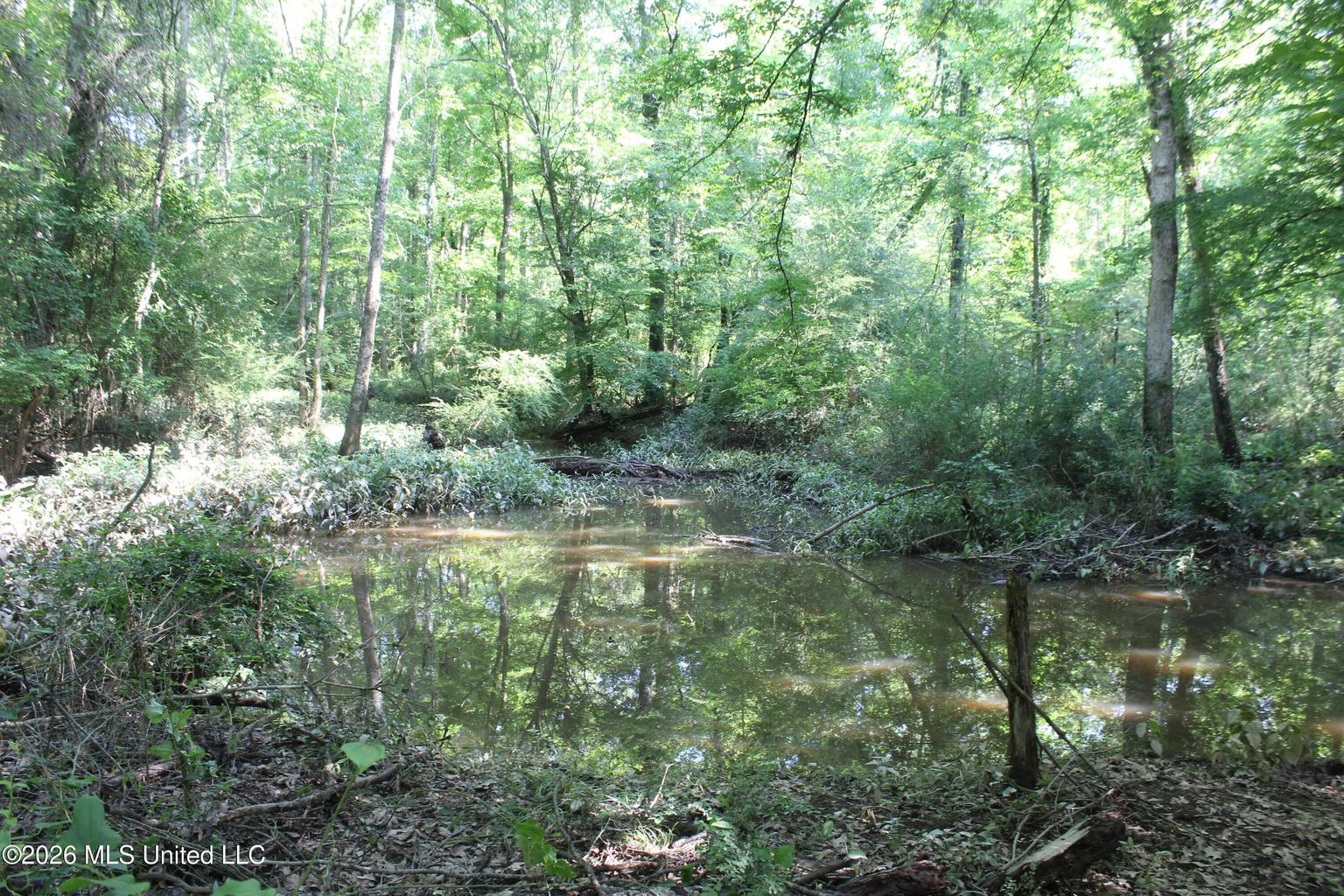 105 Acres Scenic Rivers Region Mississippi