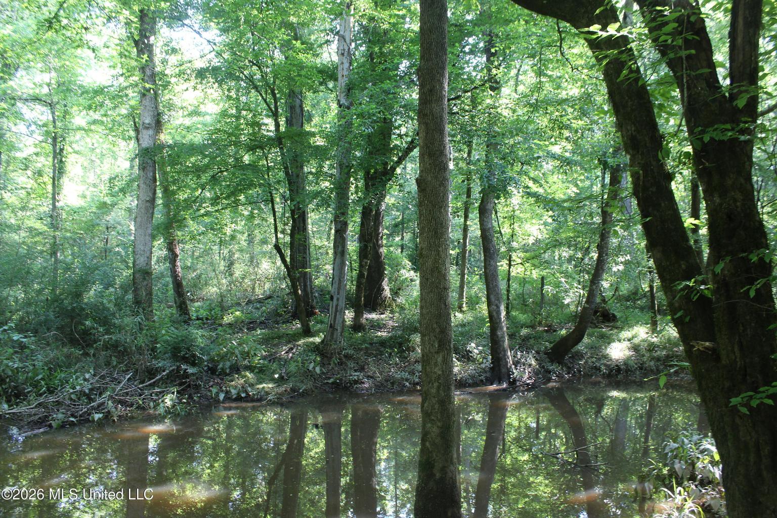 105 Acres Scenic Rivers Region Mississippi