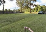 Vacant land lot for sale near Plaquemine
