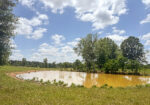 Pasture Land for sale in Lincoln County, MS