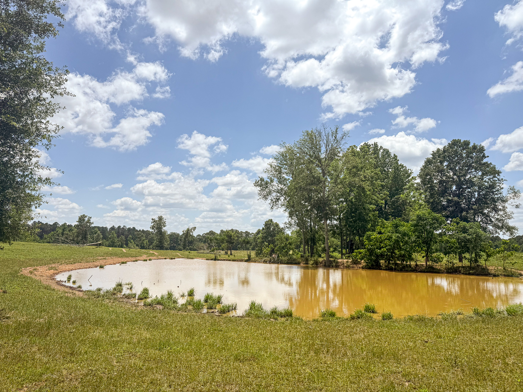 Pasture Land for sale in Lincoln County, MS