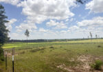 Pasture Land for sale in Lincoln County, MS