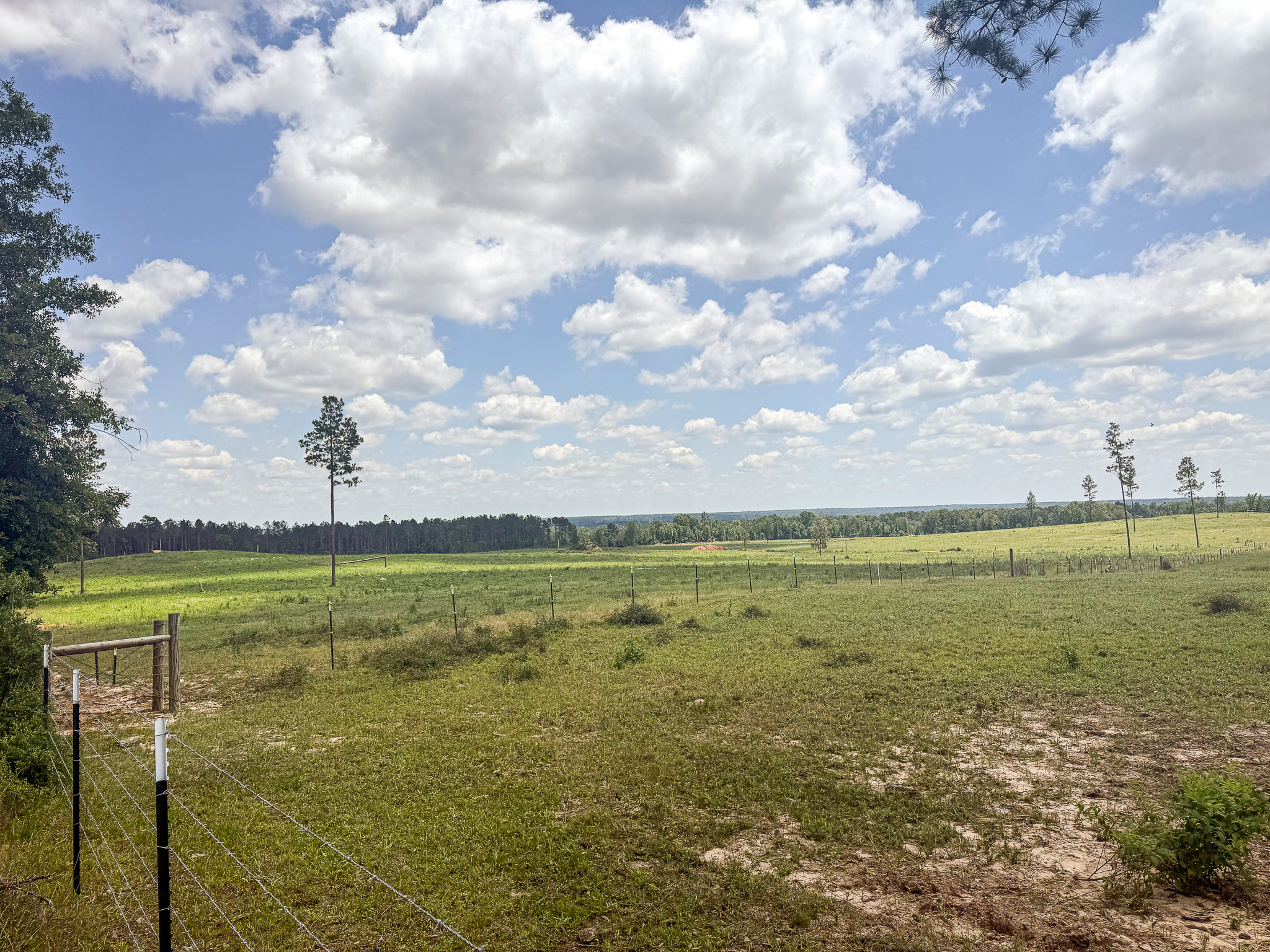 Pasture Land for sale in Lincoln County, MS