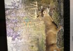 Hunting membership available for Natchez Ms