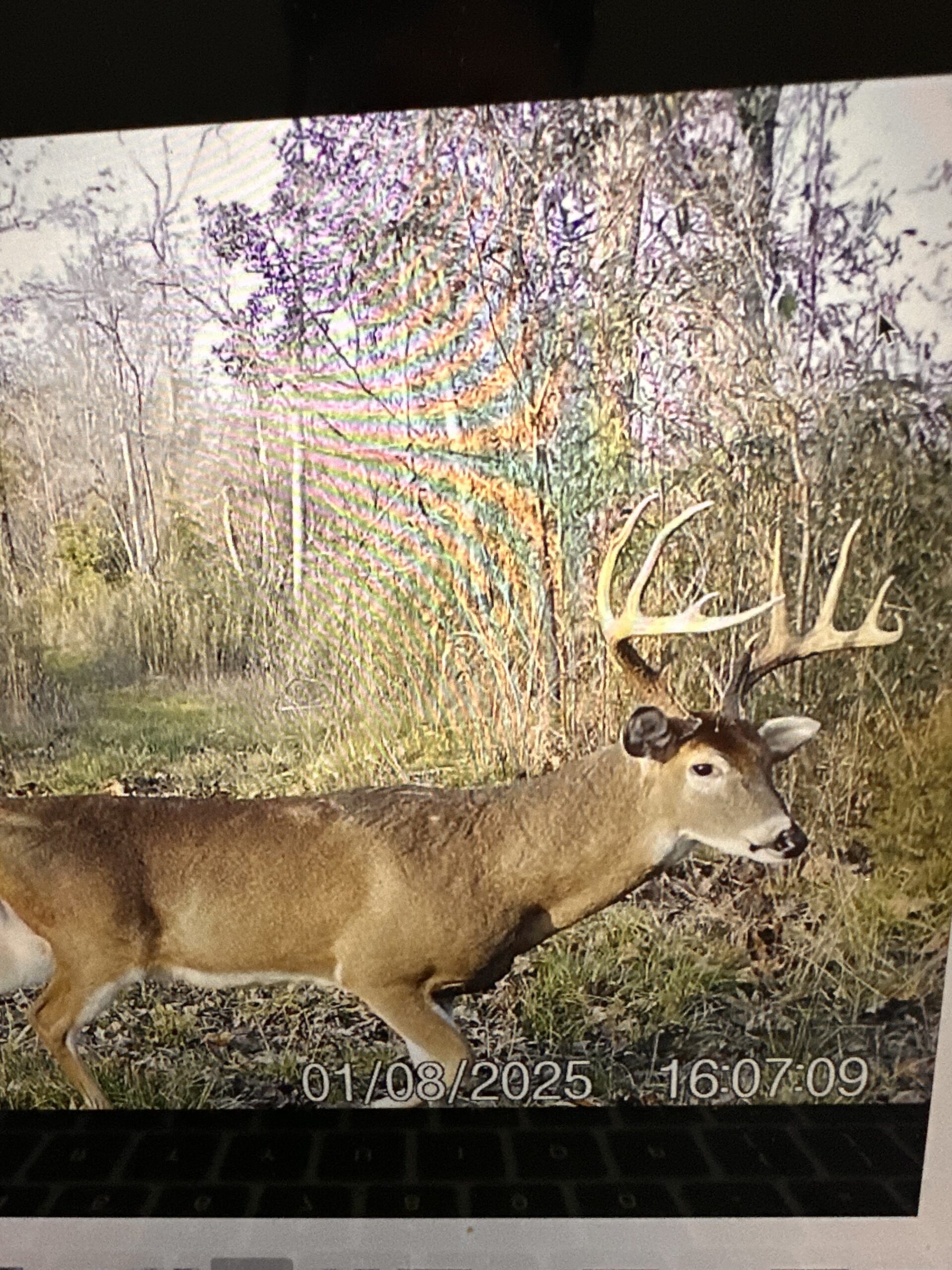 Hunting membership available for Natchez Ms