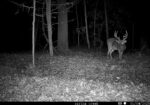 Hunting membership available for Natchez Ms
