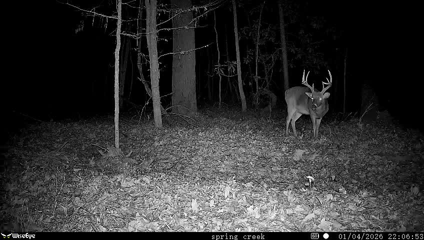 Hunting membership available for Natchez Ms