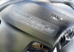 Yamaha Grizzly 700 si