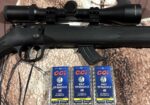Savage 17 mach 2