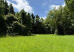 14937 HWY 24 W, WOODVILLE, MS – $679,000