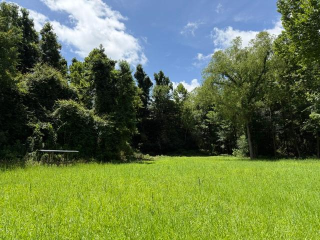 14937 HWY 24 W, WOODVILLE, MS – $679,000