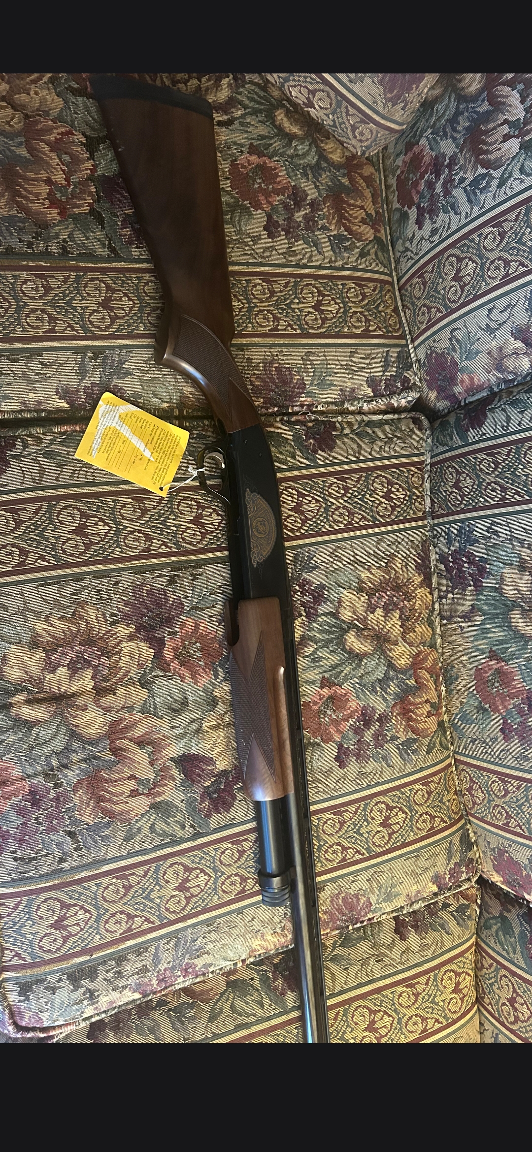 Browning BPS and Weatherby Rifle