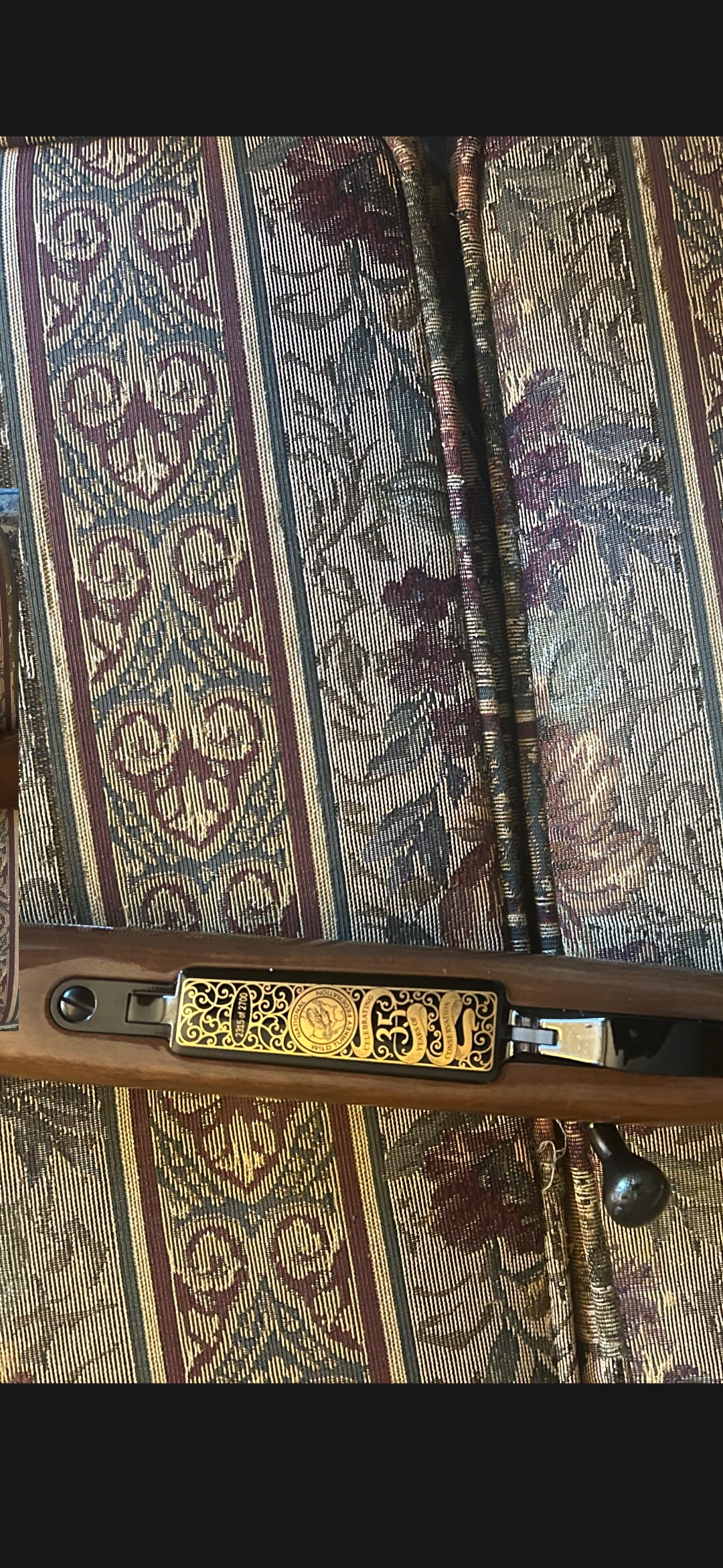 Browning BPS and Weatherby Rifle