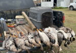 Duck & Goose Hunting Memberships Available | Welsh • Thornwell • Pecan Island