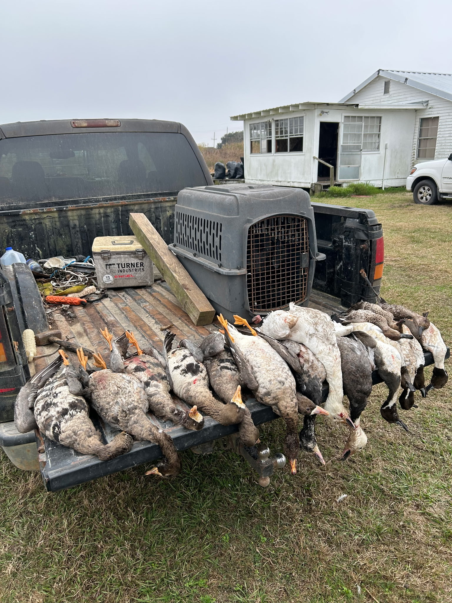Duck & Goose Hunting Memberships Available | Welsh • Thornwell • Pecan Island