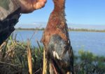 Southern Duckmen Duck/Goose Club Membership Available