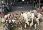 Southern Duckmen Duck/Goose Club Membership Available