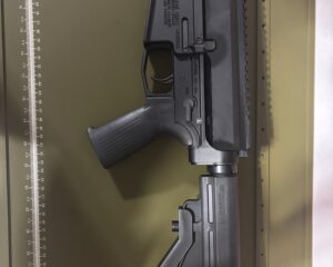 AR-10-Rear