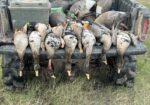 Duck & Goose Hunting Memberships Available | Welsh • Thornwell • Pecan Island