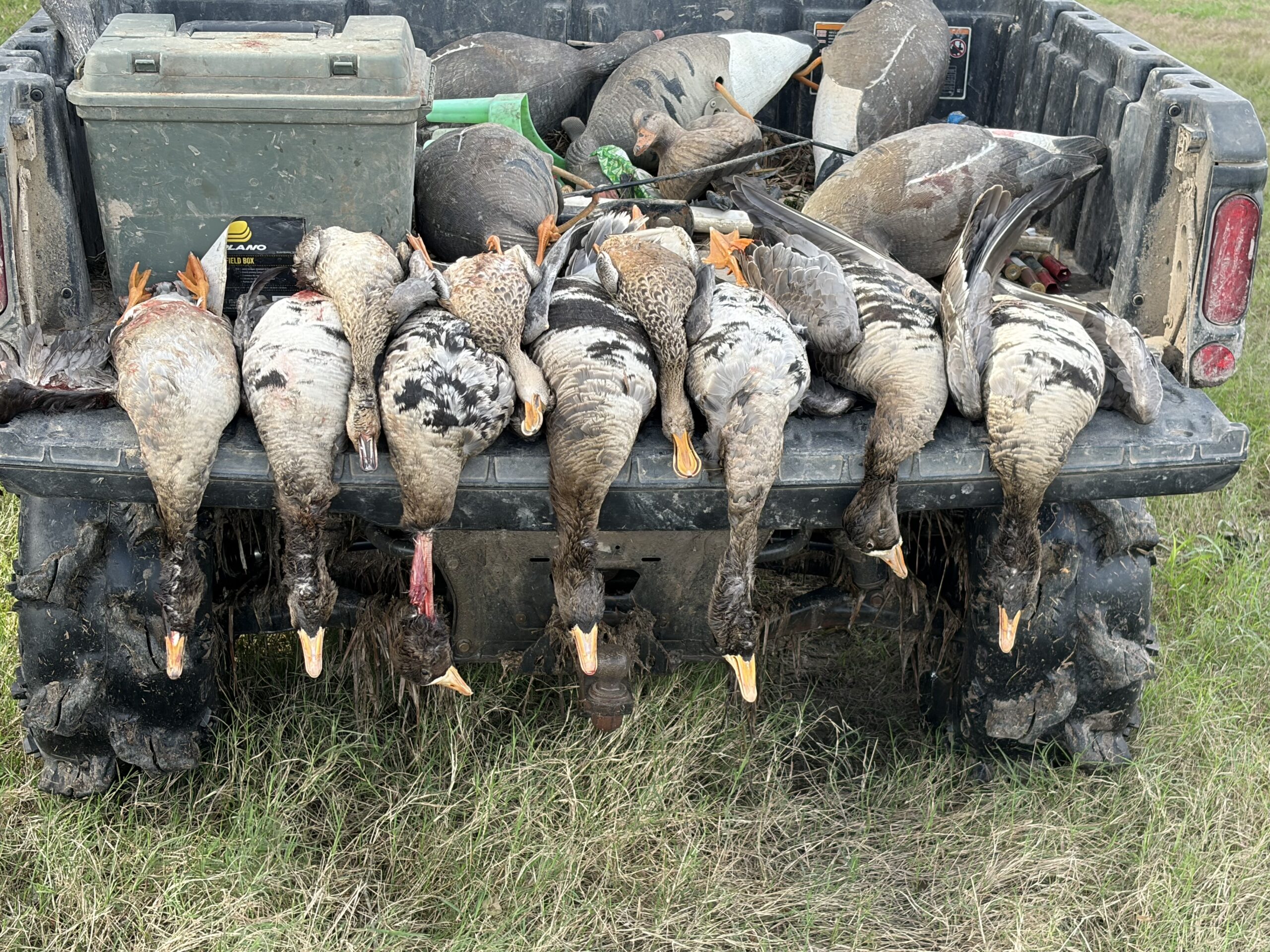 Duck & Goose Hunting Memberships Available | Welsh • Thornwell • Pecan Island
