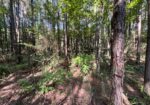 Homochitto Valley Cabin Site
