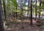 Homochitto Valley Cabin Site
