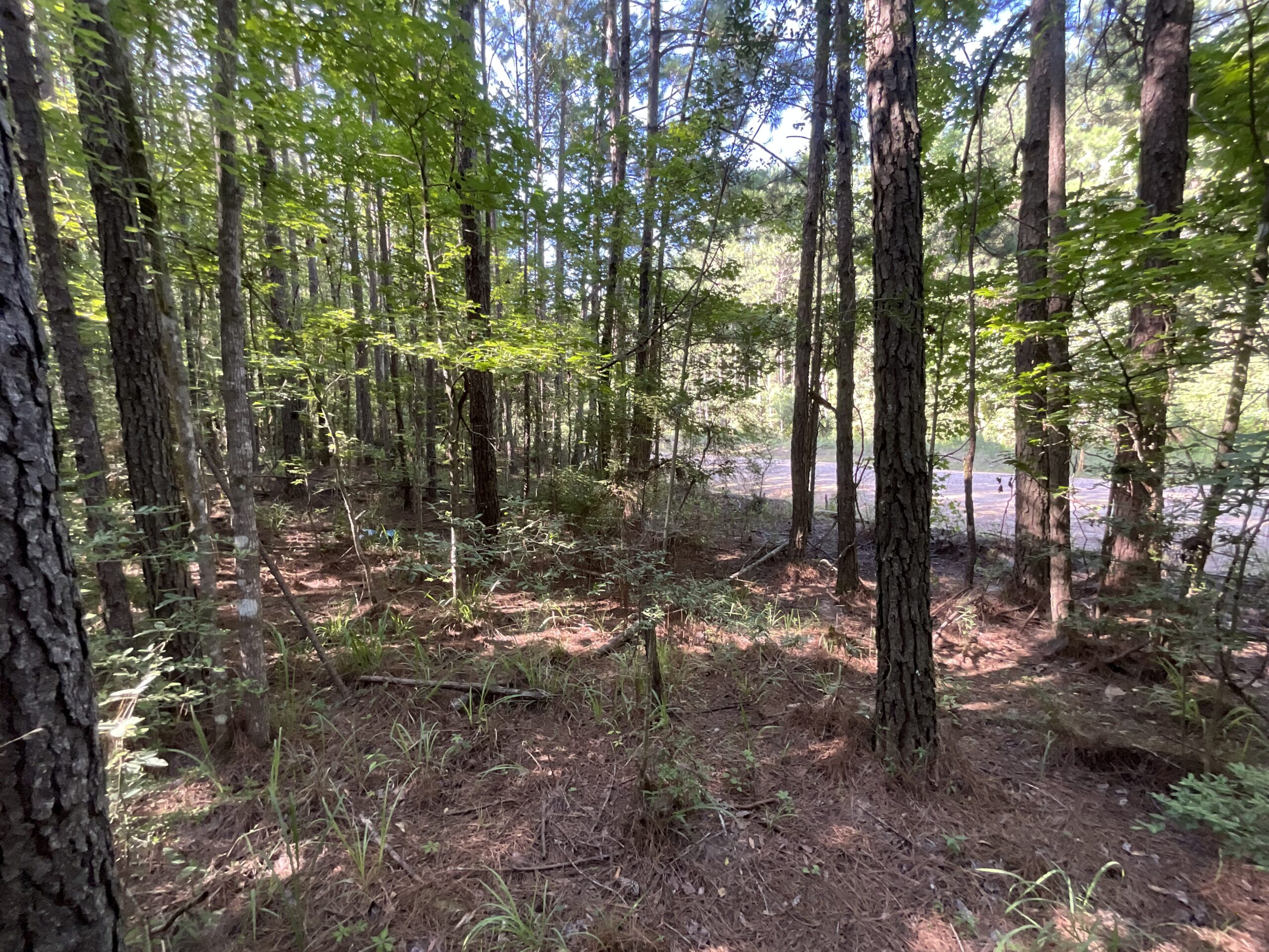 Homochitto Valley Cabin Site