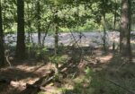 Homochitto Valley Cabin Site