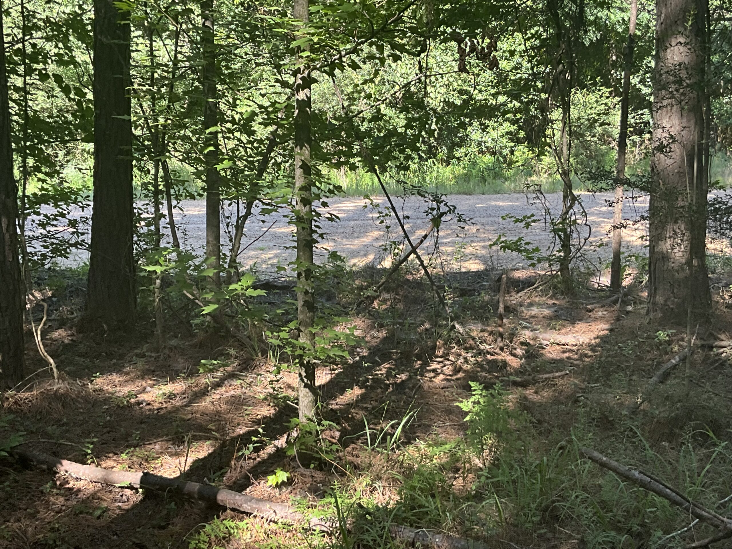 Homochitto Valley Cabin Site