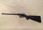 U.S. SURVIVAL AR-7 .22 BLUE