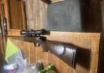 wts Steyr 30.06