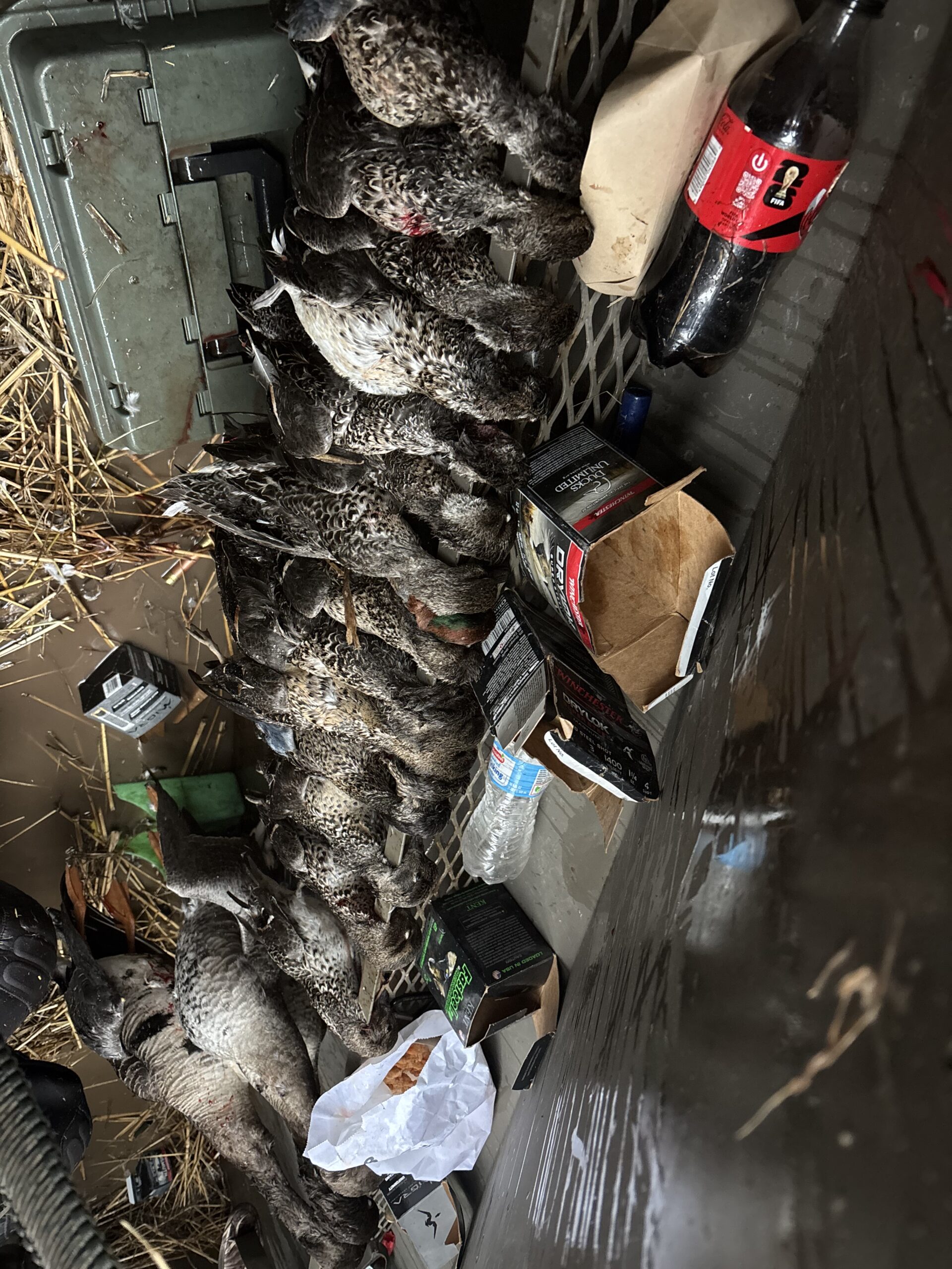 Duck & Goose Hunting Memberships Available | Welsh • Thornwell • Pecan Island