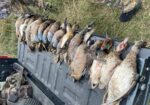 Duck & Goose Hunting Memberships Available | Welsh • Thornwell • Pecan Island