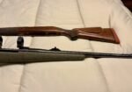 Safari Rifle
