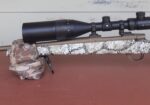 Shotgun
