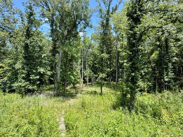 1931 DRY FORK CREEK RD, GLOSTER, MS 39638 – $379,000