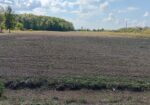 4 Acres S/E Corner Franklin Parish